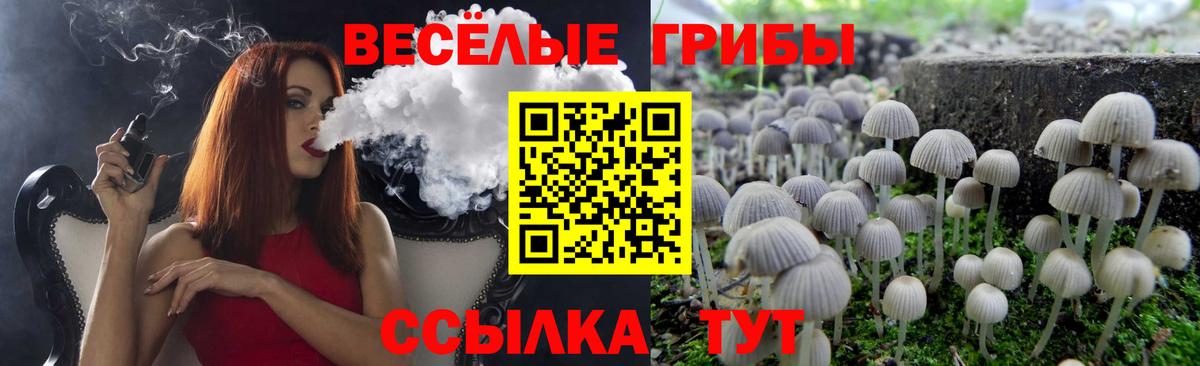 Галлюциногенные грибы Cubensis Ишимбай